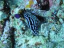 DSC00421.JPG