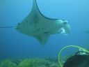 DSC00448.JPG