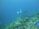 DSC00454.JPG