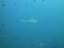 DSC00468.JPG
