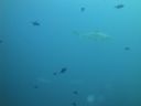 DSC00469.JPG