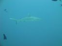 DSC00473.JPG