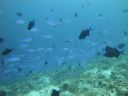 DSC00477.JPG