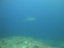 DSC00484.JPG