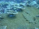 DSC00494.JPG