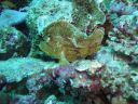 DSC00504.JPG
