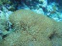DSC00518.JPG