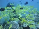 DSC00521.JPG