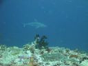 DSC00531.JPG
