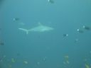 DSC00532.JPG