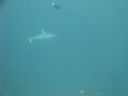 DSC00535.JPG