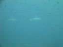 DSC00539.JPG
