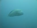 DSC00540.JPG