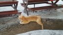 DSC00541-2.jpg