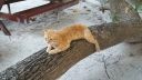 DSC00541-3.jpg
