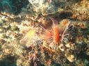 DSC00546.JPG