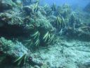 DSC00552.JPG