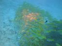 DSC00556.JPG