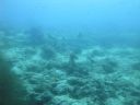DSC00562.JPG
