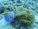 DSC00565.JPG