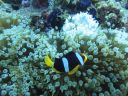 DSC00566.JPG