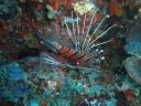 DSC00570.JPG