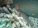 DSC00579.JPG