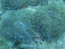 DSC00583.JPG