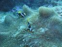 DSC00588.JPG