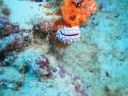 DSC00589.JPG