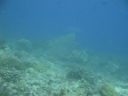 DSC00592.JPG