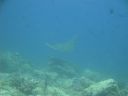 DSC00593.JPG