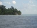 DSC00595.JPG