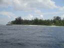 DSC00597.JPG
