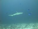 DSC00619.JPG