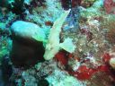 DSC00629.JPG
