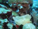 DSC00631.JPG