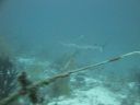 DSC00638.JPG