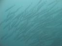 DSC00641.JPG