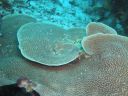 DSC00643.JPG