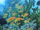 DSC00713.JPG