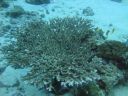 DSC00714.JPG