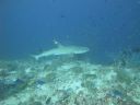 DSC00718.JPG