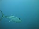 DSC00722.JPG