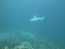 DSC00733.JPG