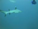 DSC00735.JPG