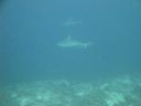 DSC00744.JPG