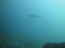 DSC00746.JPG