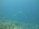 DSC00748.JPG