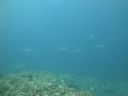 DSC00749.JPG